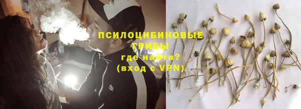 a pvp Алзамай