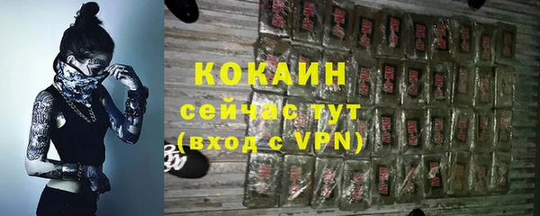 стафф Алексин