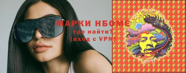 стафф Алексин