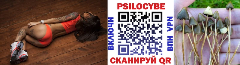 ссылка на мегу зеркало  Учалы  Галлюциногенные грибы мицелий 